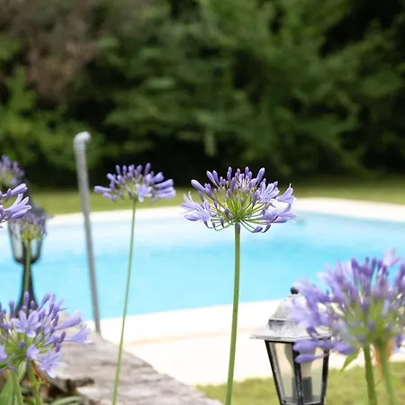 Superbe Bord De La Dordogne